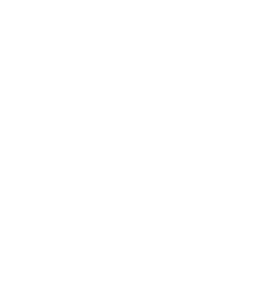 Die Burnout-Lotsen